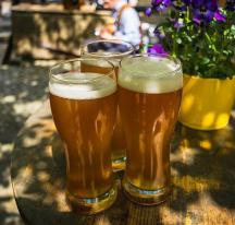 la levure de bière la levure de bière